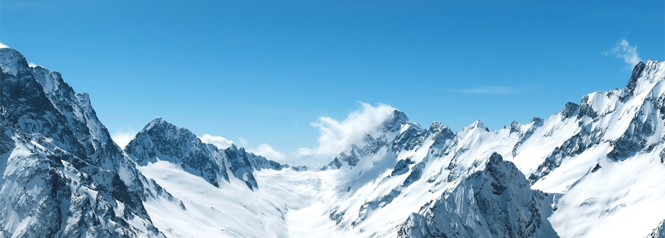 合规赋能实体经济，大宗商品现货交易平台开启产业新征程